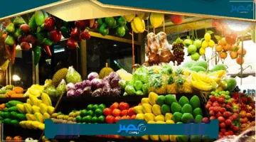 «انخفاض ملحوظ» أسعار الخضراوات والفاكهة اليوم بسوق العبور تعرف على التفاصيل